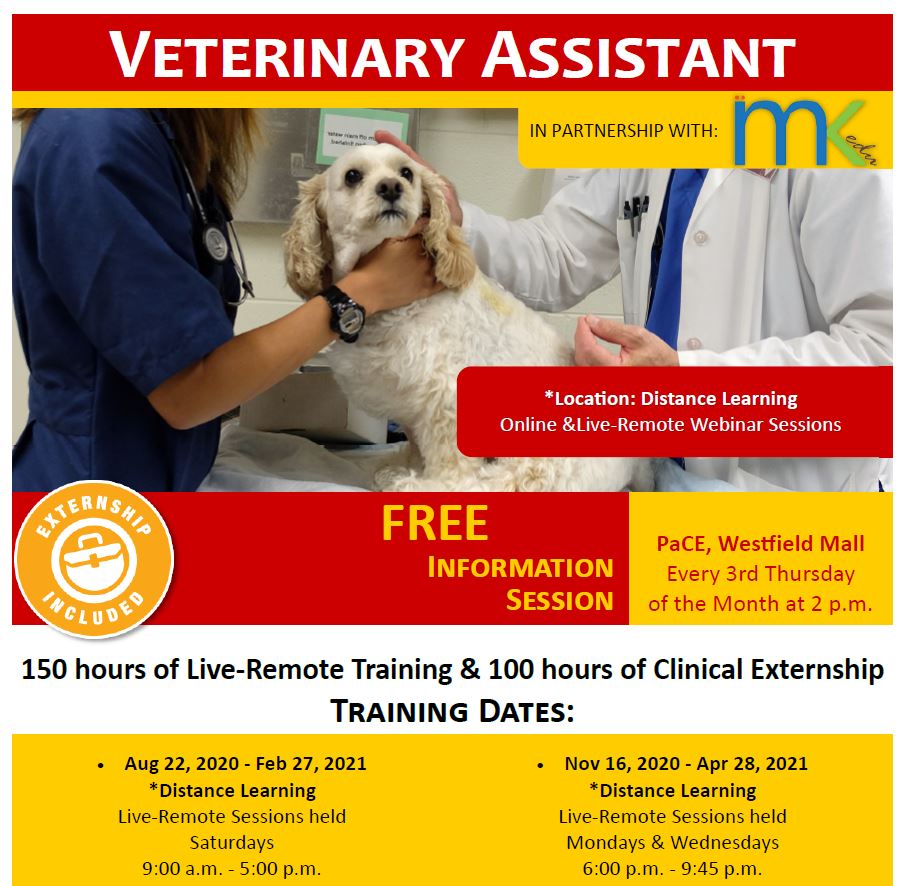 College of the Desert Starts Veterinary Assistant Certification Program -  Greater Coachella Valley Chamber of Commerce