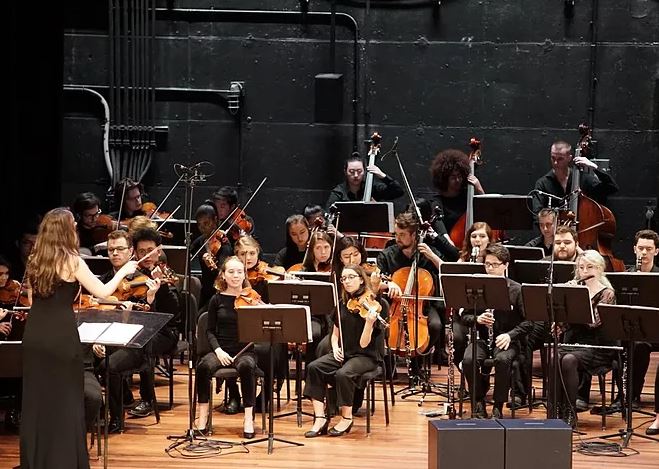 Palm Springs Youth Training Orchestra logo