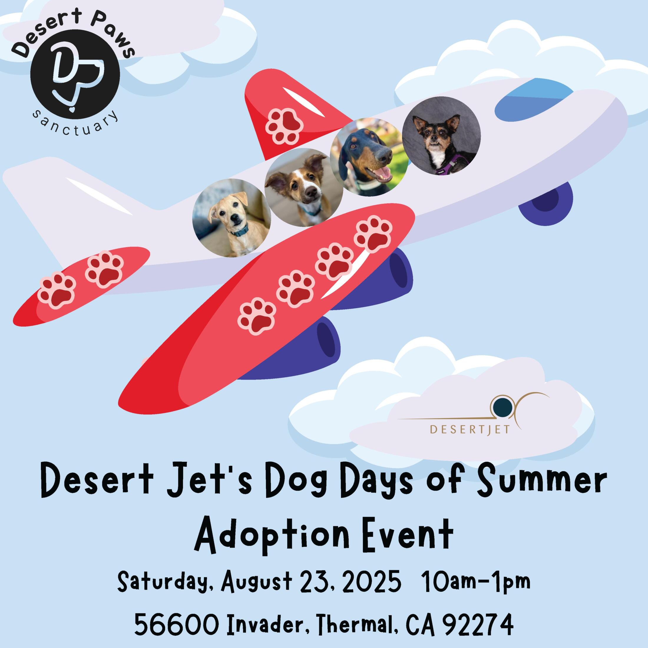 Dog Days of Summer is Back! featured image