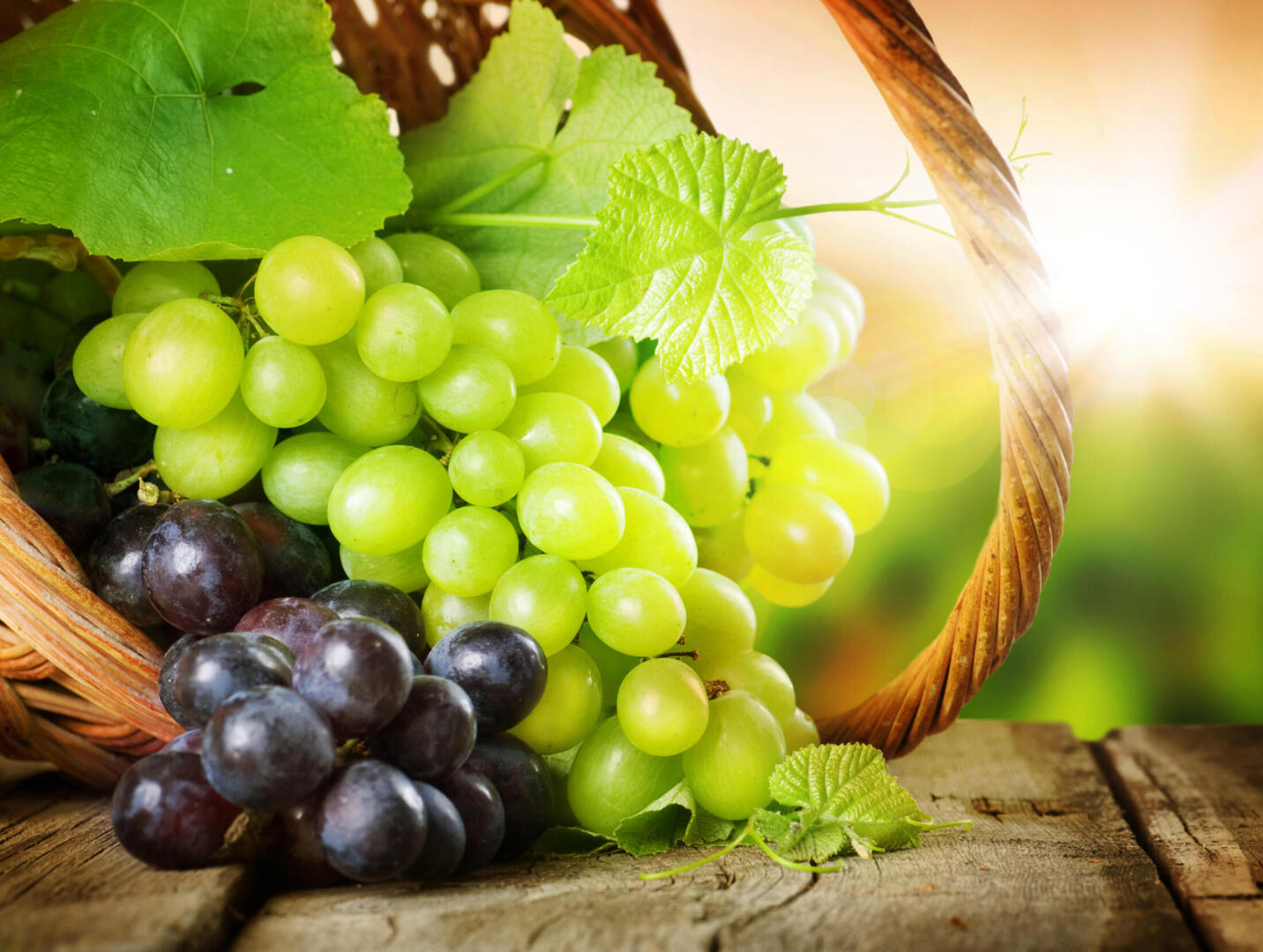 California Desert Grape Administrative Committee Seeks Nominations for Board Members
