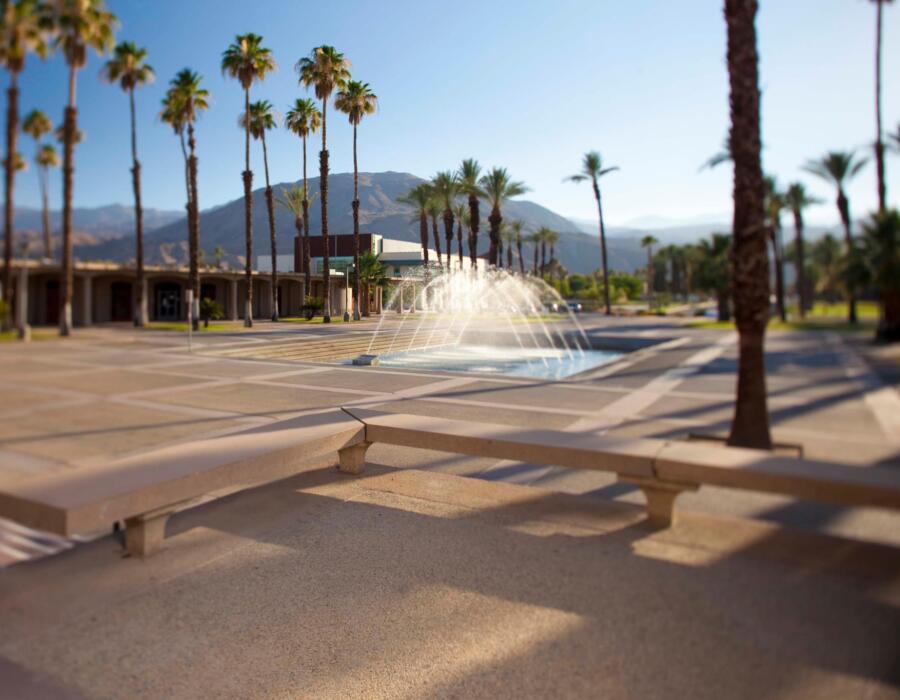 College of the Desert Seeks Employer Input on New Bachelor’s Program to Support Regional Workforce Needs