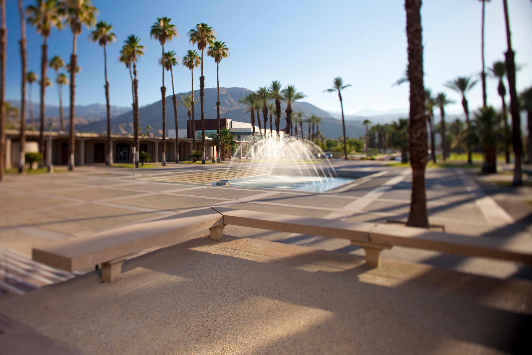 College of the Desert Seeks Employer Input on New Bachelor’s Program to Support Regional Workforce Needs featured image