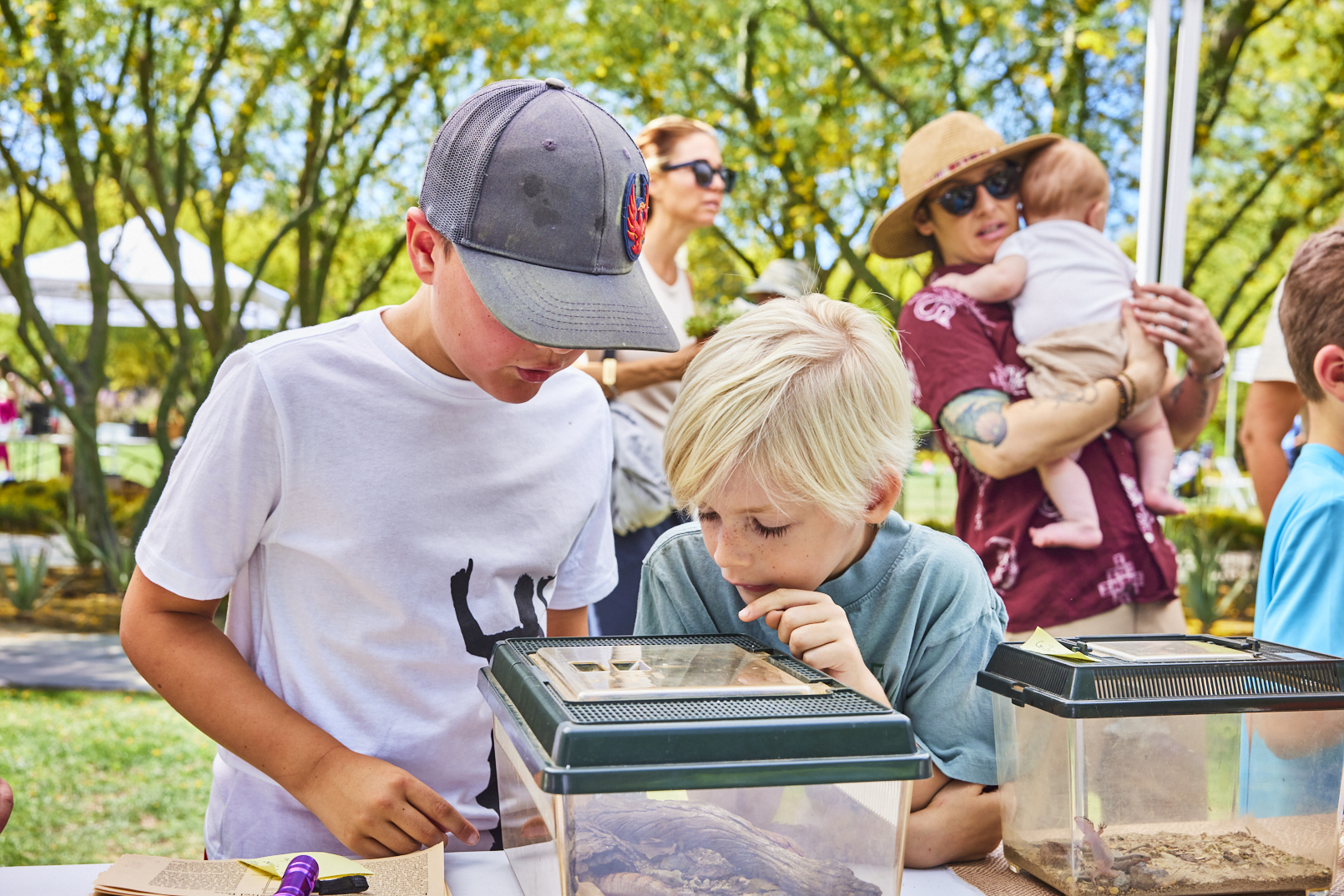 A New Family Day at Sunnylands Invites Guests to Find Inspiration Through Trees and Nature
